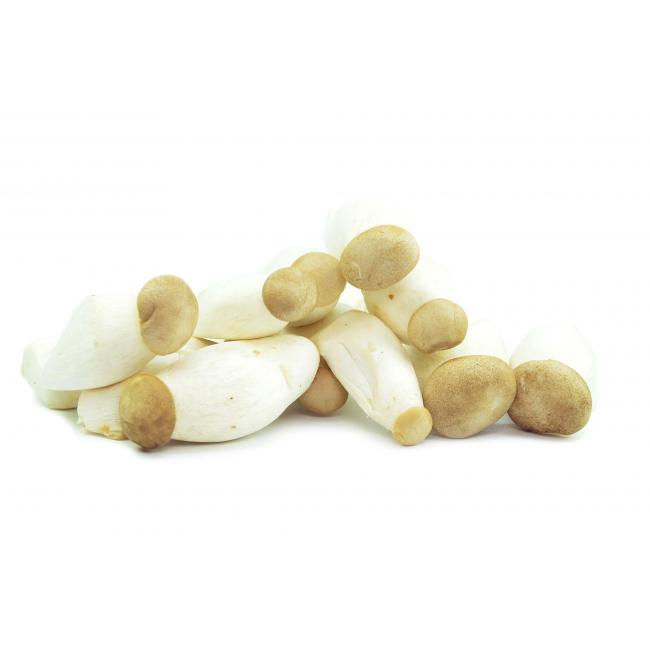 Mini-Kräuterseitling