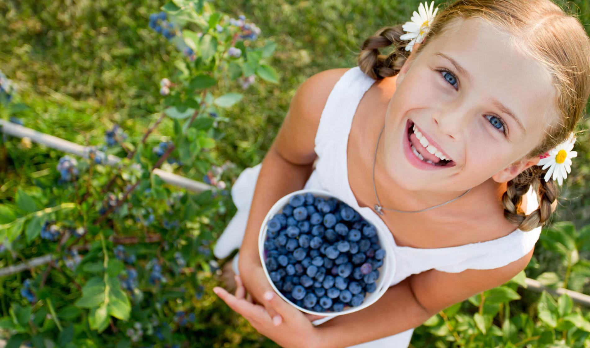 Heidelbeeren