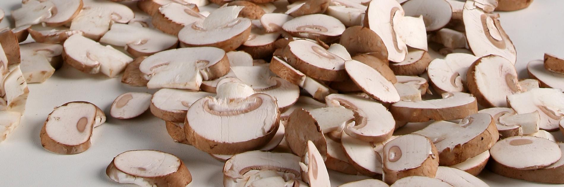 Die Chancen des Kastanienpilzes und wie Sie sie nutzen können