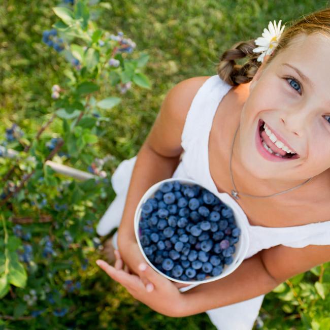 Heidelbeeren