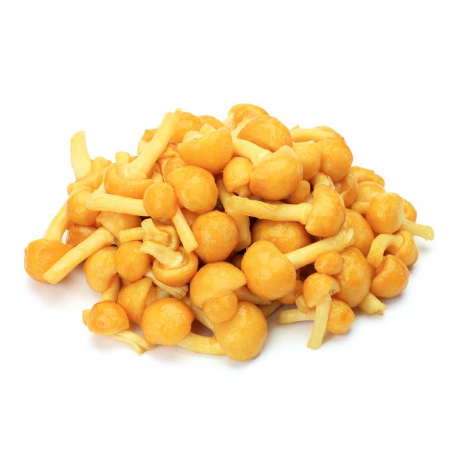 Japanisches Stockschwämmchen (Nameko)