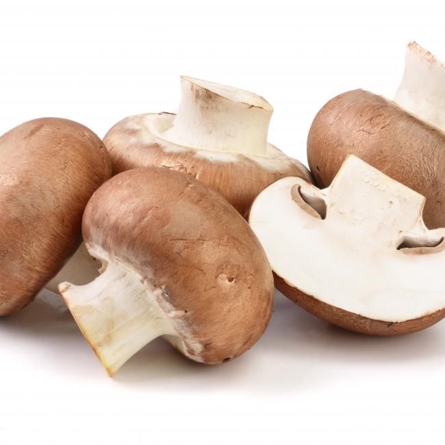 Mit Vitamin D angereicherte Pilze von Limax